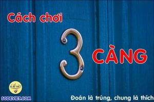 Dự đoán 3 càng 3 càng miền Bắc và các cách dự đoán hay nhất