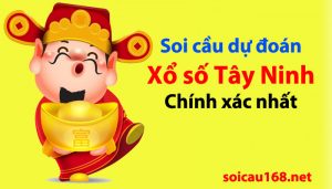 Soi cầu xstn